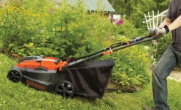 Jag trodde inte jag var en 
